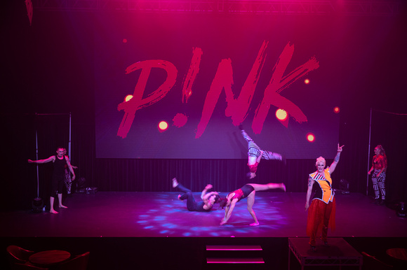 Pink_The_Circus_Sean_Breadsell_138