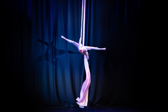 Madonna_The_Diva_The_Icon_The_Circus_Sean_Breadsell_006